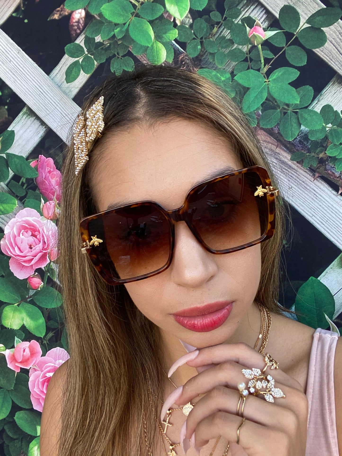 Isabel 3